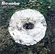 Bonobo